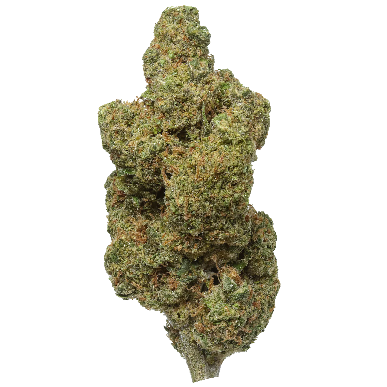 Durban Poison 1 LB (16 oz)