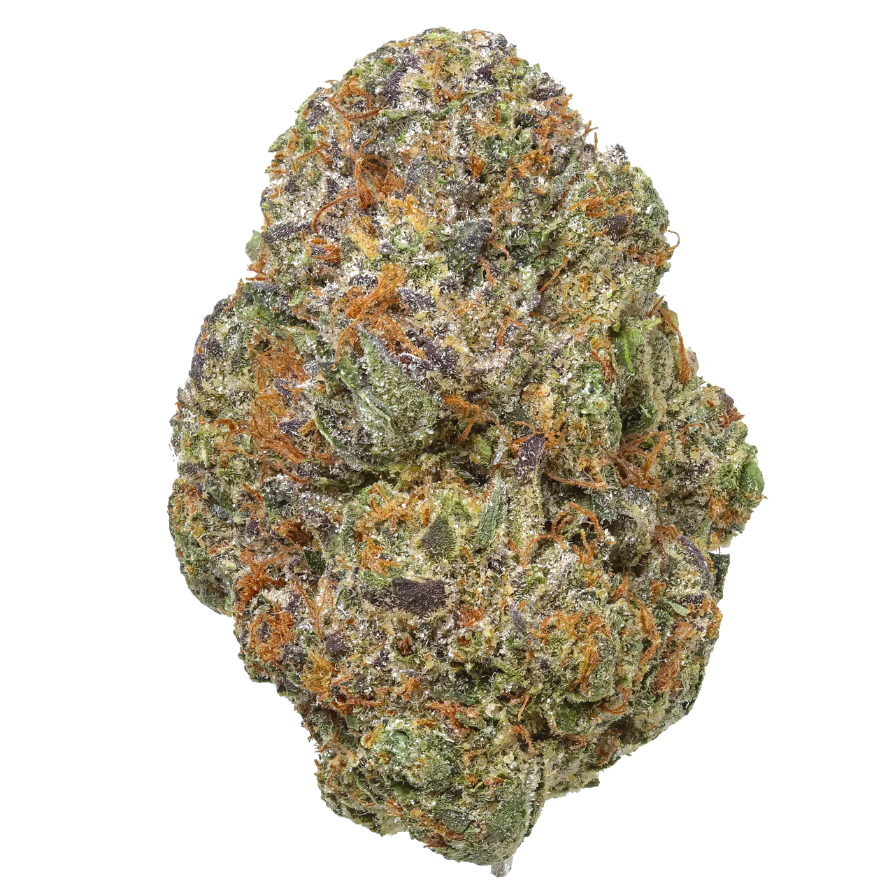Gelato Cake 1 LB (16 oz)
