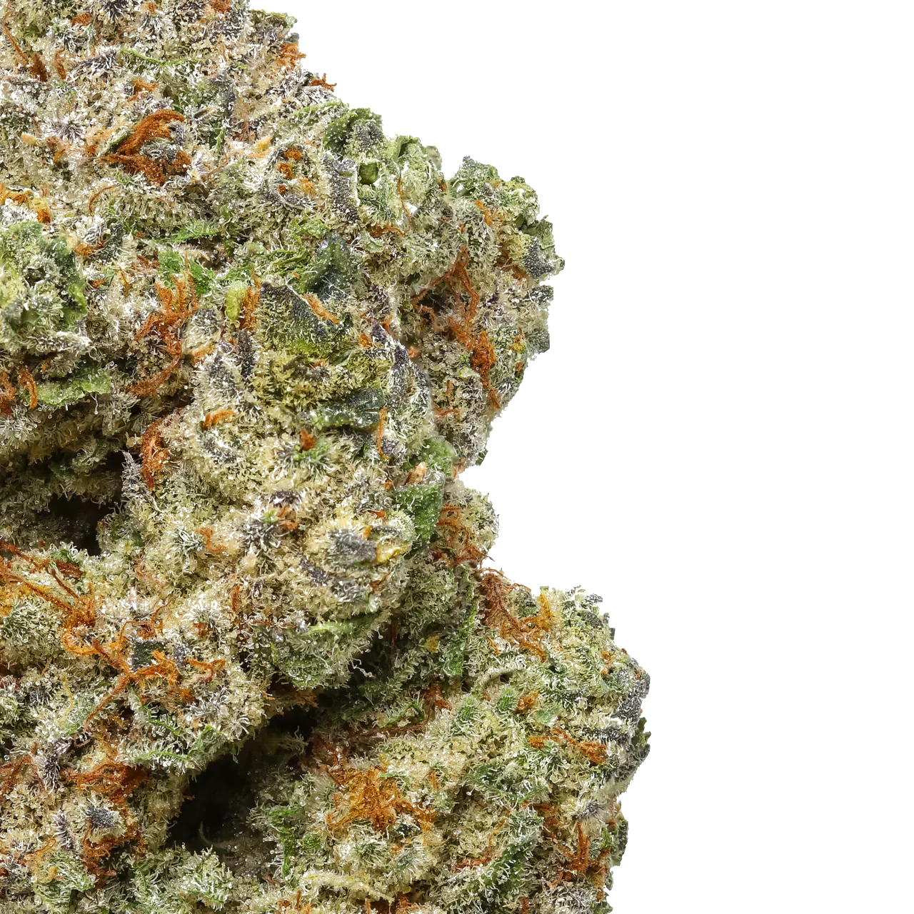 Ghost OG 1 LB (16oz)