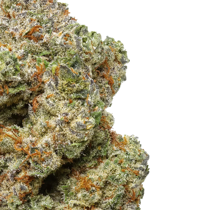 Ghost OG 1 LB (16oz)