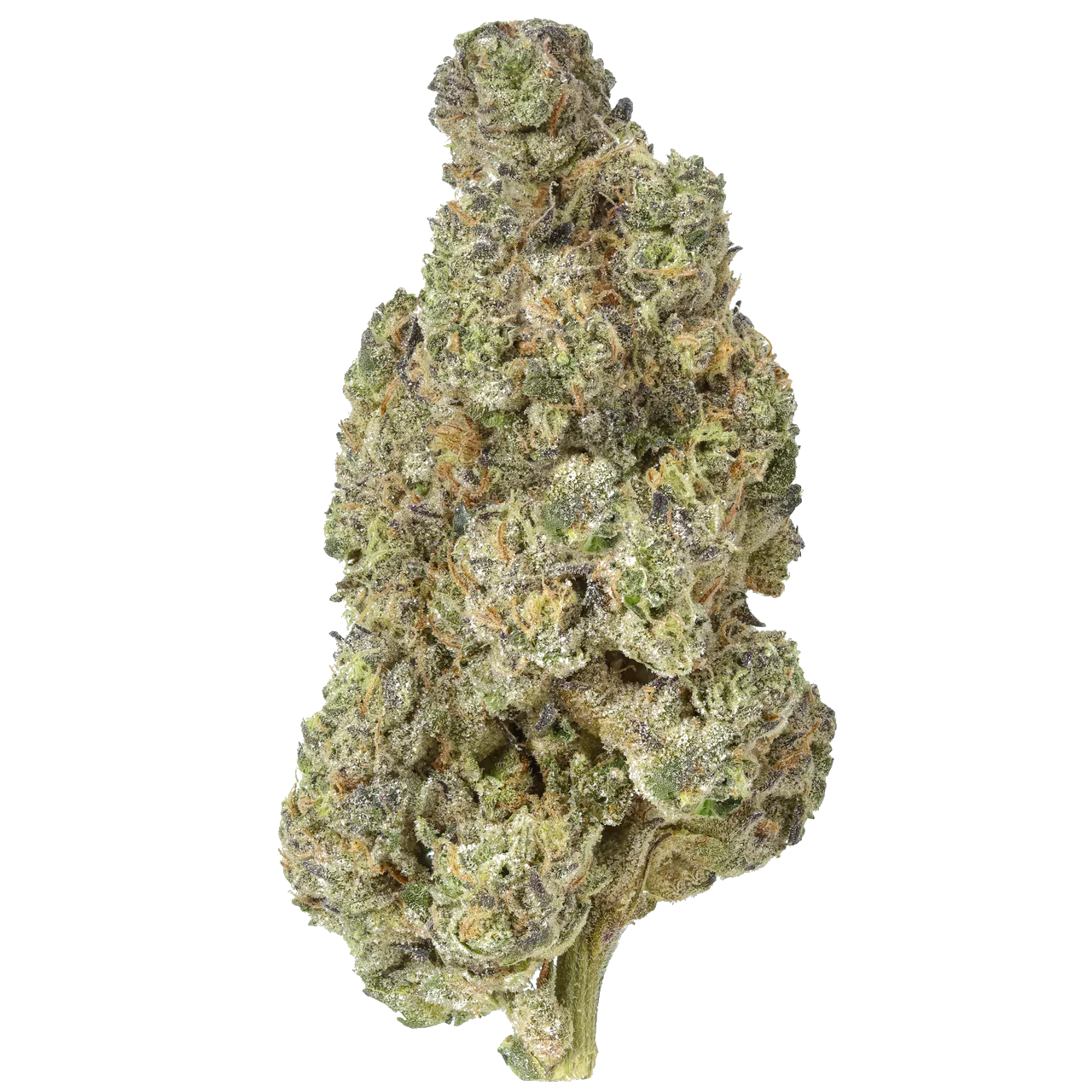 Gush Mintz 1/2 LB (8oz)