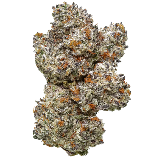 Frosty Octane Mintz cannabis bud with purple and orange hairs on white background