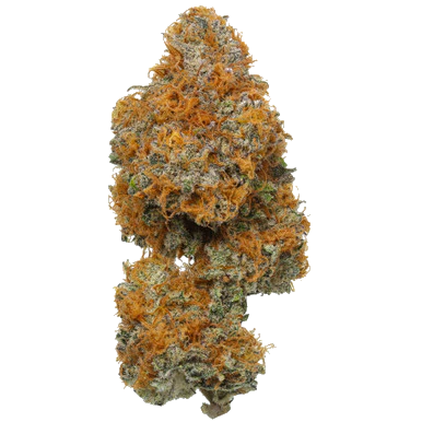 Orange Apricot MAC 1/4 LB (4 oz)