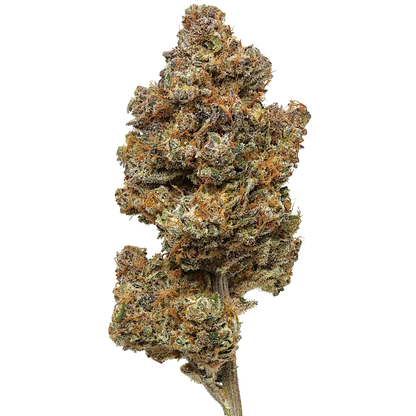 Purple Haze 1 LB (16 oz)