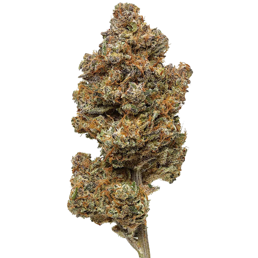Purple Haze 1/2 LB (8 oz)