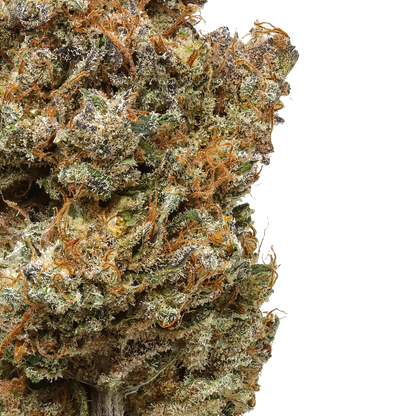 Purple Haze 1 LB (16 oz)