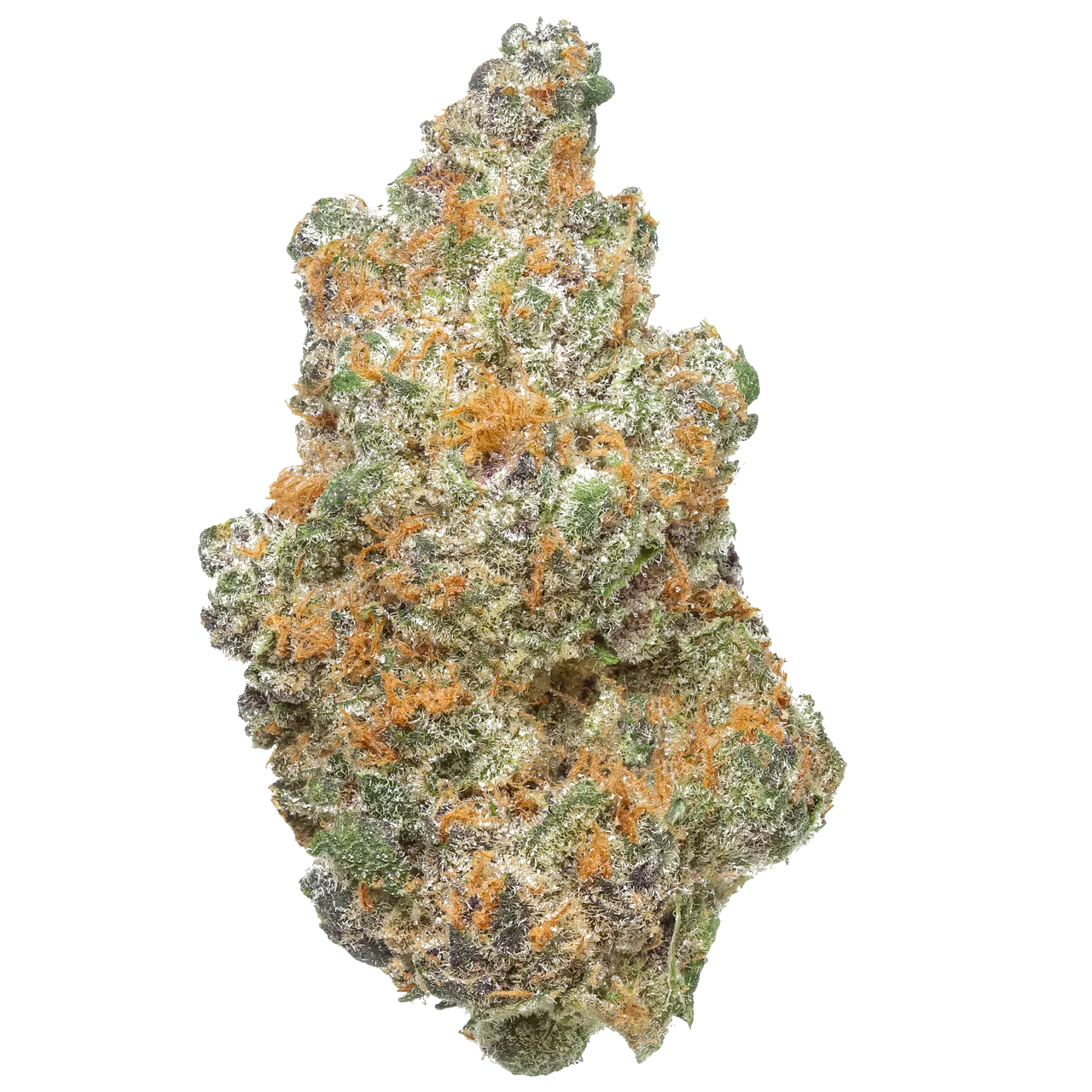 Super Boof cannabis bud with frosty trichomes, orange hairs, and green-purple hues
