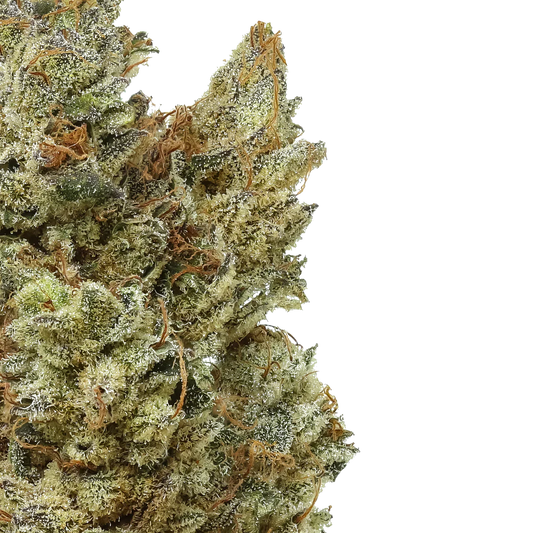 Wizard of Oz 1/4 LB (4 oz)